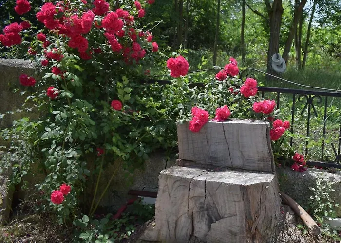 Taverna Costa Dei Trabocchi Tatil Evi Fossacesia